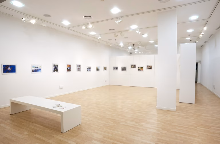 Sala de Exposiciones Pintores 10